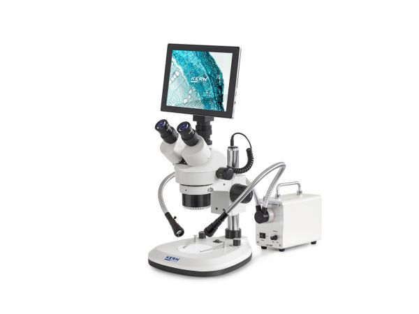 tablet-kern-z-mikroskopem